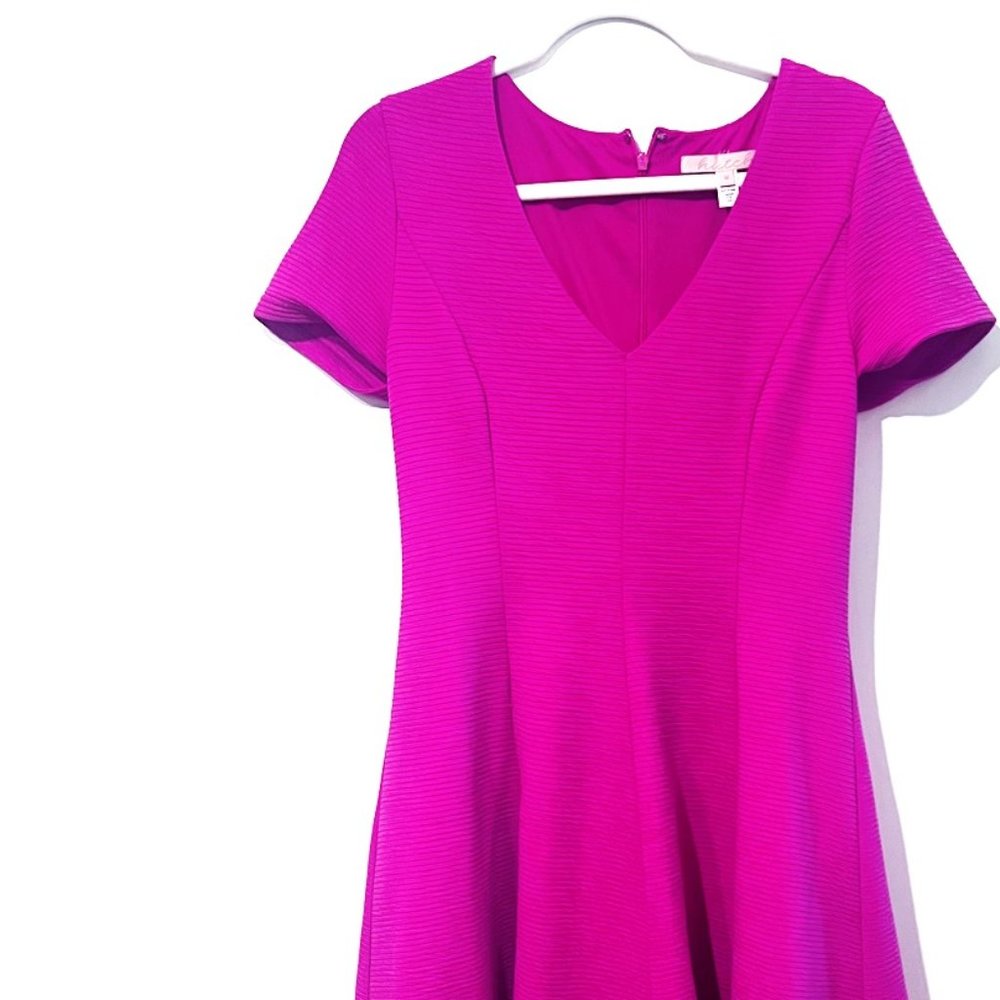 Anthropologie Hutch Vicki V Neck Fit and Flare Dress Pink